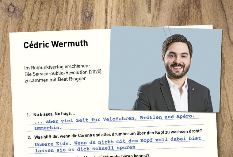 Fragebogen von Cédric Wermuth